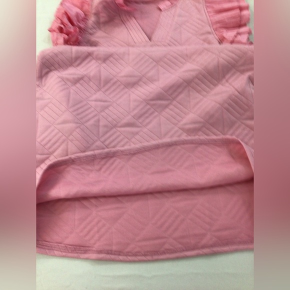 NWOT Pink Ruffle Sleeve Quilted Dress Midi, sz Large - Picture 13 of 14